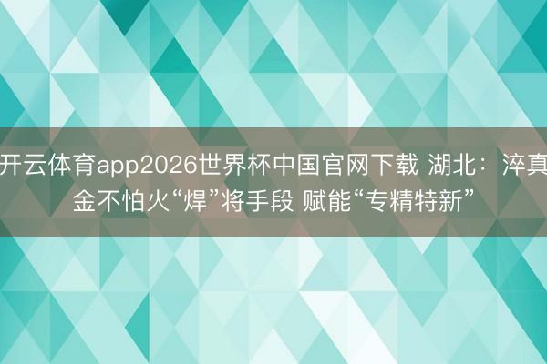 开云体育app2026世界杯中国官网下载 湖北：淬真金不怕火“焊”将手段 赋能“专精特新”